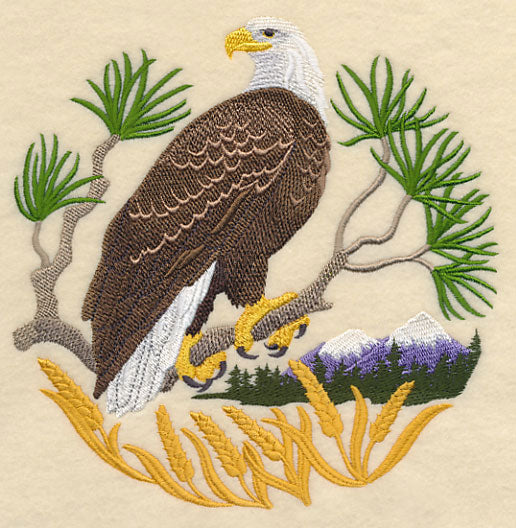 Eagle Scene
