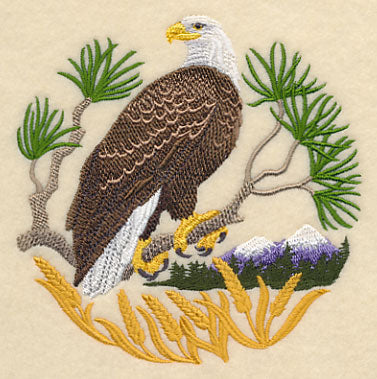 Eagle Scene