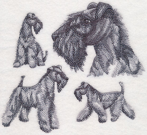 Kerry Blue Terrier Sketch