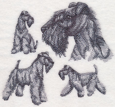 Kerry Blue Terrier Sketch
