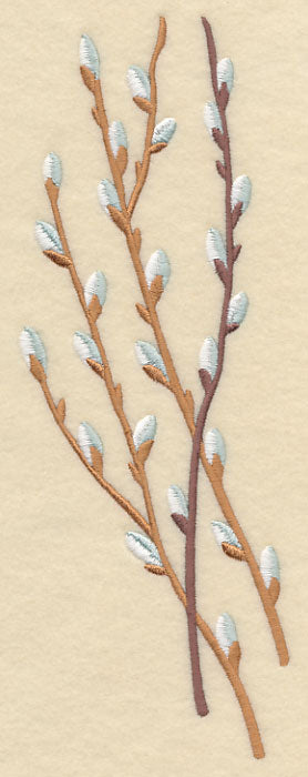 Pussy Willow Bunch 1