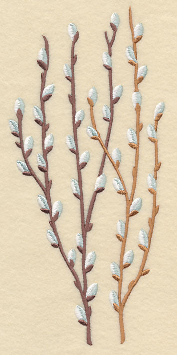 Pussy Willow Bunch 2