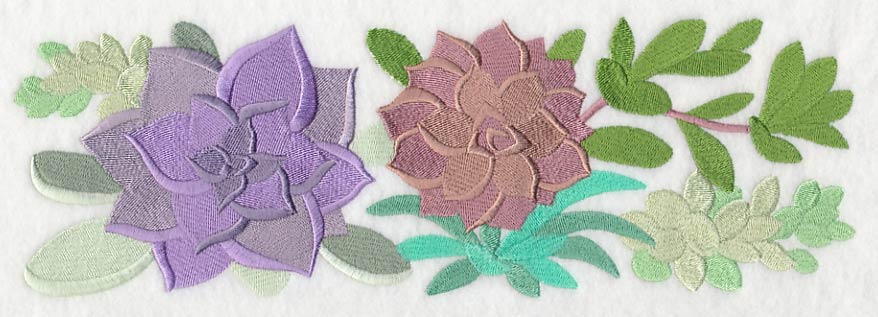 For the Love of Succulents Border