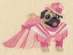 Fancy Pug