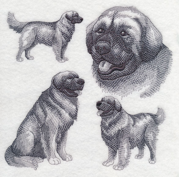 Leonberger Sketch