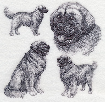 Leonberger Sketch