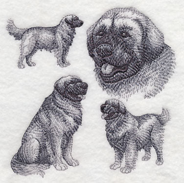Leonberger Sketch