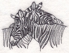 Nuzzling Zebras Etching