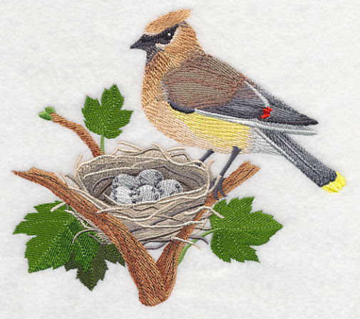Cedar Waxwing and Nest