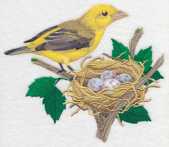 Scarlet Tanager and Nest