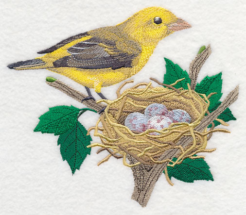 Scarlet Tanager and Nest