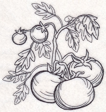 Tomato Etching