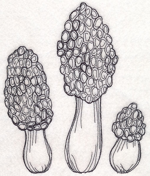 Morel Mushroom Etching