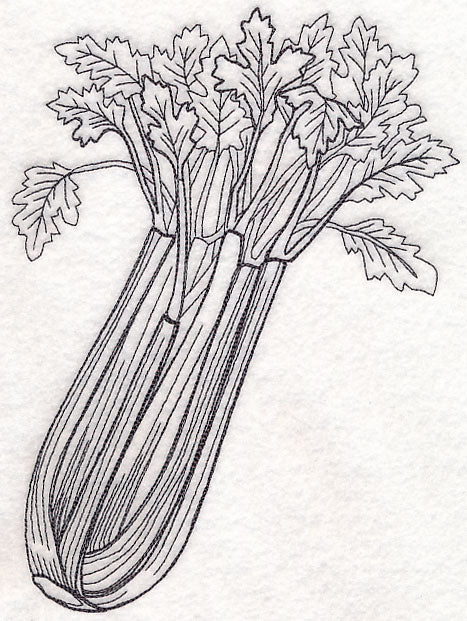 Celery Etching