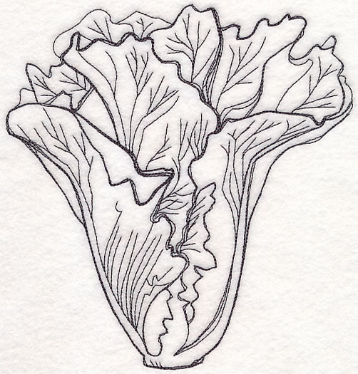 Lettuce Etching