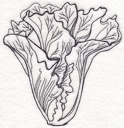 Lettuce Etching