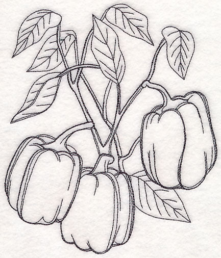 Bell Pepper Etching