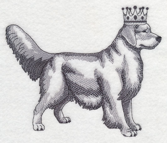 Golden Retriever in Crown