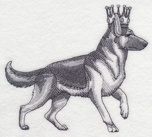 German Shepherd in Crown