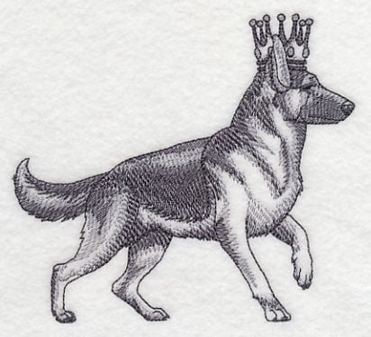 German Shepherd in Crown