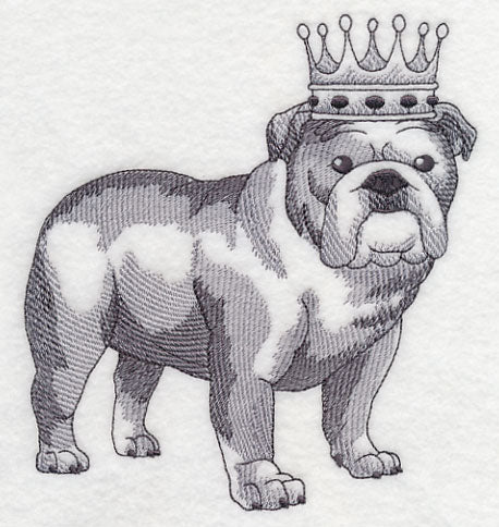 English Bulldog in Crown