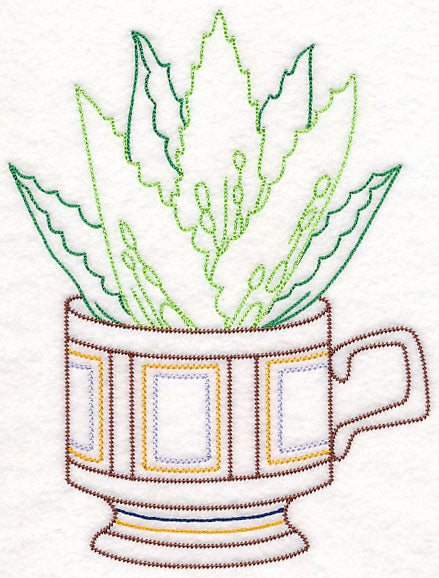 Cup o' Succulent - Aloe Vera (Vintage)