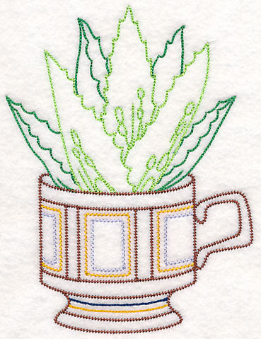 Cup o' Succulent - Aloe Vera (Vintage)