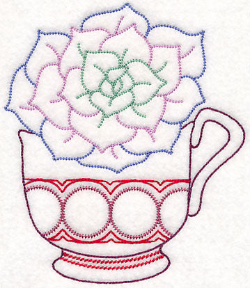 Cup o' Succulent - Echeveria (Vintage)