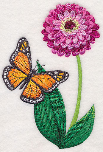 Monarch and Zinnia