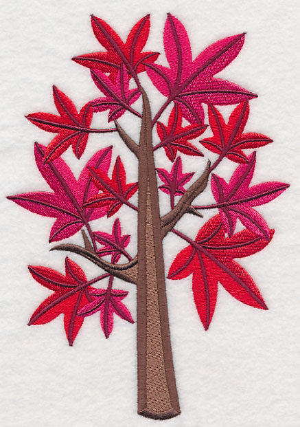 Colors of Fall - Sweet Gum Tree