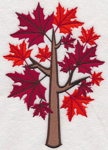 Colors of Fall - Sugar Maple Tree