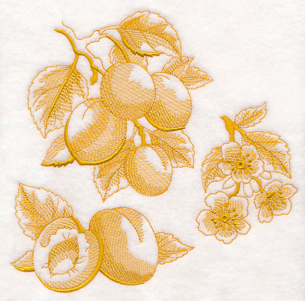 Apricot Botanical (Toile)
