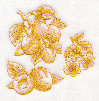 Apricot Botanical (Toile)