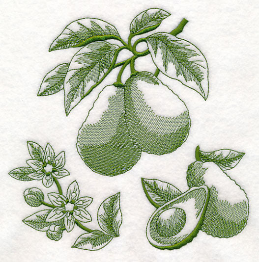 Avocado Botanical (Toile)