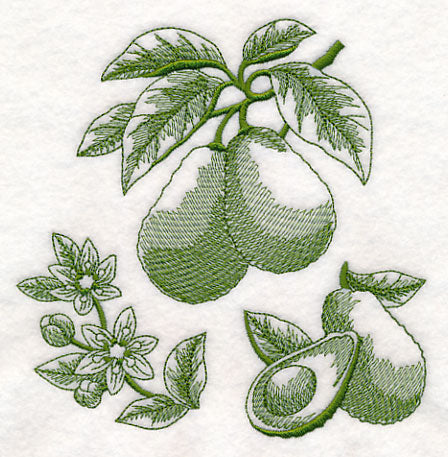 Avocado Botanical (Toile)