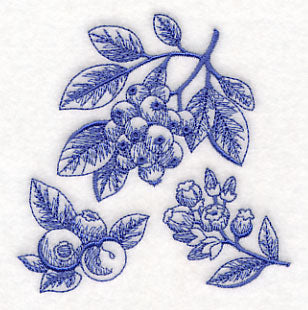 Blueberry Botanical (Toile)