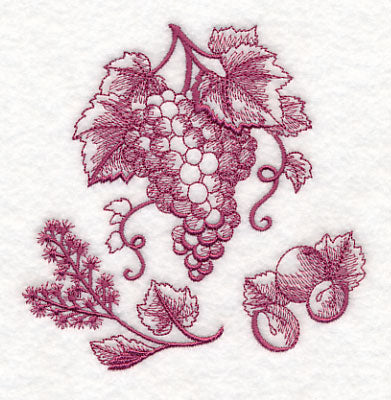 Grapes Botanical (Toile)