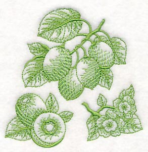 Kiwi Botanical (Toile)