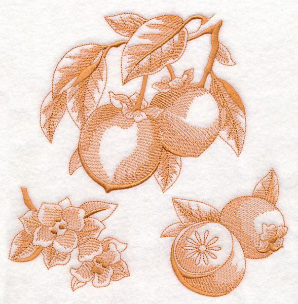 Persimmon Botanical (Toile)