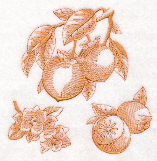 Persimmon Botanical (Toile)