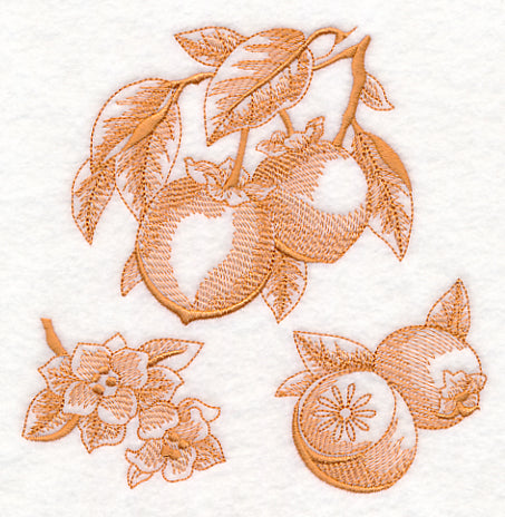 Persimmon Botanical (Toile)