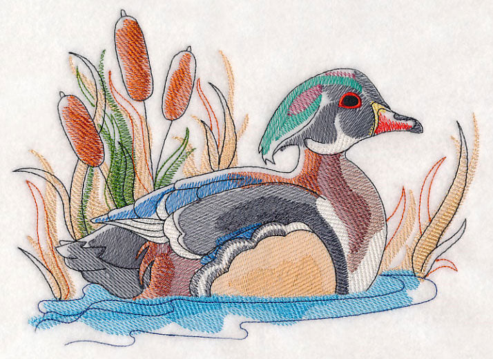 Wood Duck Sketch