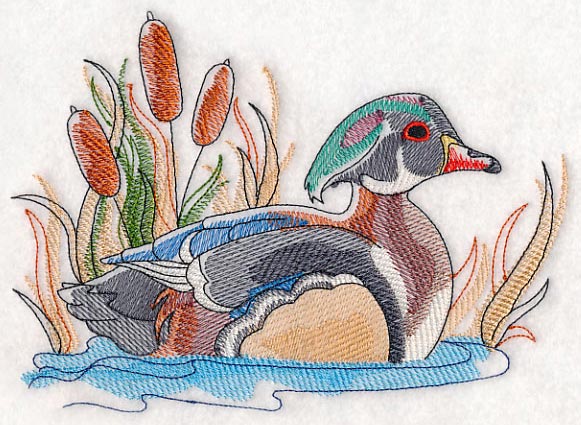 Wood Duck Sketch