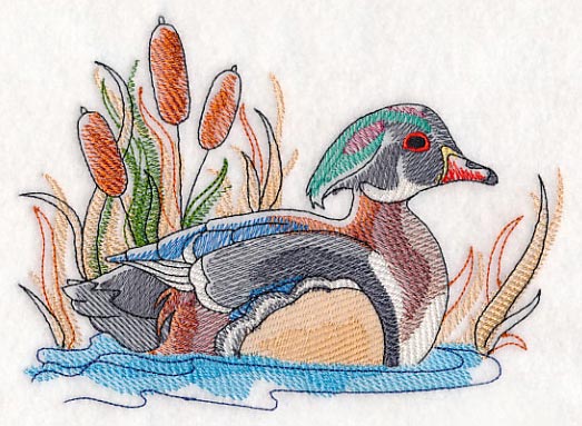 Wood Duck Sketch