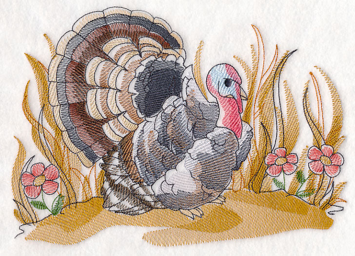 Turkey Sketch