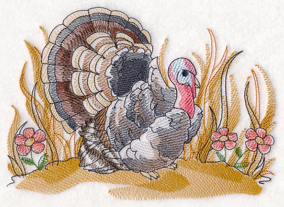 Turkey Sketch