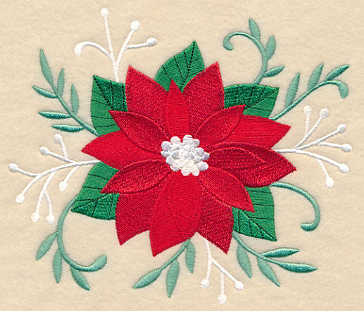 Blooming Christmas Poinsettia