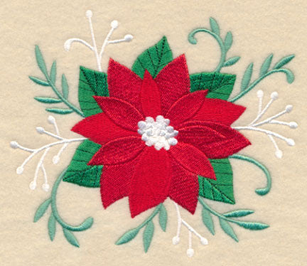 Blooming Christmas Poinsettia