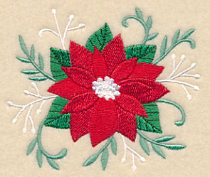 Blooming Christmas Poinsettia