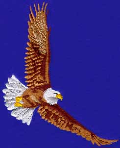 Soaring Eagle